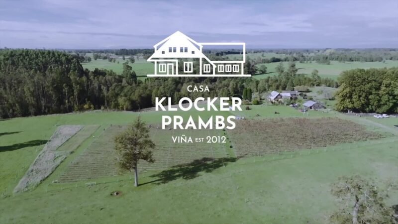 Hay momentos que contienen toda una historia. Para Viña Casa Klocker Prambs, ese momento es la vendimia.
Tuvimos el honor de asistir a la cosecha que da origen al espumante más austral del mundo. Un ballet de manos expertas y paisajes increíbles en Frutillar, donde comienza el viaje de cada botella.
Este video es nuestro homenaje a ese instante de pura dedicación.
¿Listo para transportarte a los viñedos del sur? ¡Dale play!
Convertimos momentos en historias inolvidables. Contáctanos y contemos la tuya.
#ProductoraAudiovisual #Vendimia #Harvest #BrandedContent #Storytelling #VideoMarketing #FilmmakingChile #Frutillar #CasaKlockerPrambs #VinoChileno #SurDeChile #HechoEnChile